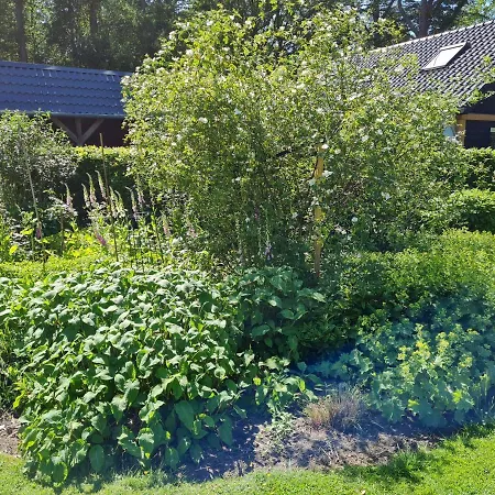 Bed & Breakfast De Schuilplaats Vorden